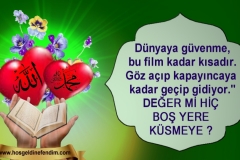 1_Image64
