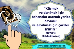 5_Image2