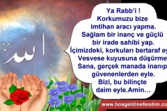 Image246-Kopya