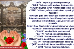Image283-Kopya