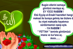 Image343-Kopya