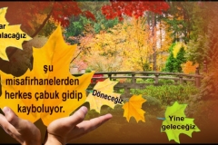 Image4kk