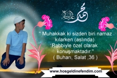 OZEL