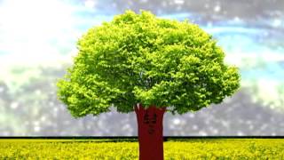 AĞACIN DİRİLİŞİ