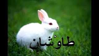 OSMANLICA ÖĞRENiYORUM (Alıştırma ) (2)