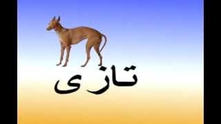 OSMANLICA ÖĞRENiYORUM (Alıştırma ) (3)