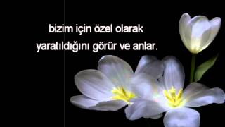 NASIL iMAN ETMELiYiZ ? .