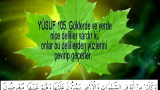 YAPRAK ALLAHIN AYETİ Mİ ?