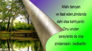 BAHTİYAR (S.Nursi)avi  .