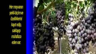 ŞEKİLLERİ GÖRMEZSEK ŞEKİL VERENİ TANIYAMAYIZ