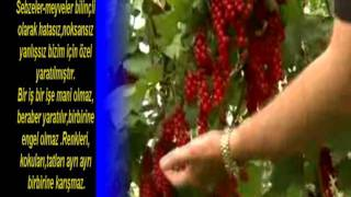 BİZİM İÇİN ÖZEL YARATILMIŞ