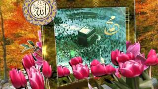 KALPLERiN SEVGiLiSi (Kutllu Doğum Haftası )