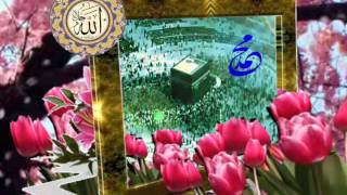 EFENDiMiZi TANIYALIM