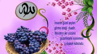 iNSAN CENNET iÇiN YARATILMIŞ