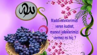 SONSUZ YAŞAMA iSTEĞi