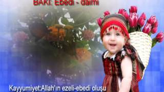 ALLAH’IN SANATINI OKUMAK