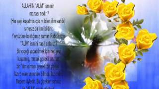 ALLAH’IN ALİM İSMİNİ NASIL ANLAMALIYIZ