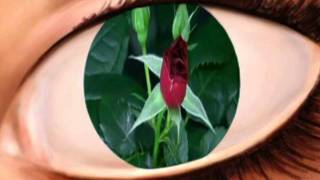 GÖZ ŞÜKÜR ETMEK iÇiN BiR SEBEPTiR