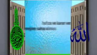 HÜCRE KONUSUNU OKUDUM-iMAN ETTiM -1 –