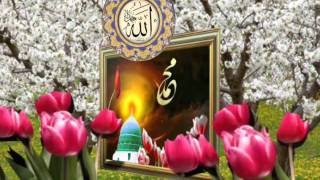 GÜLÜ MUHAMMED’I (Kutlu Doğum)-2-