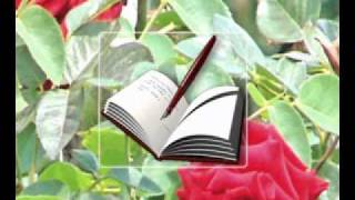 AHİRETİN İSPATI.(Giriş )