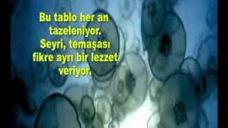 RESSAM -GÖZDEKİ PERDE-ÖZET