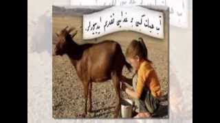 OSMANLICA ÖĞRENİYORUM 1 SÖZ 3 bölüm)